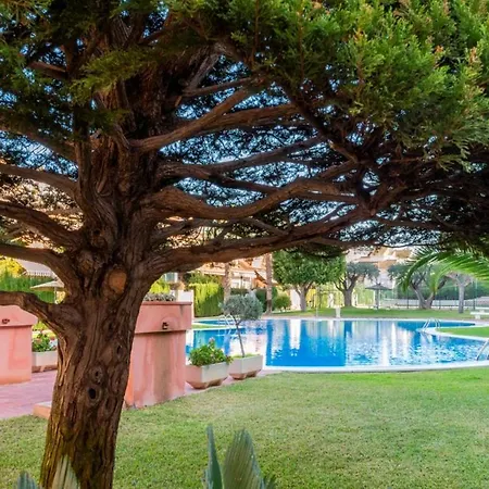 Adosado Con Piscina En La Playa Alicante